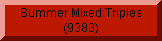 Summer Mixed Triples (9383)